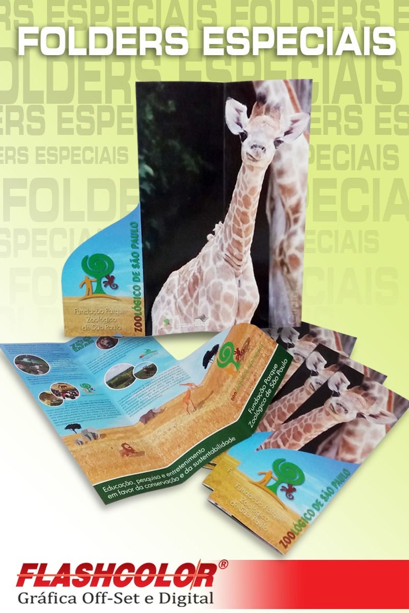 Folders especiais com recorte e dobras